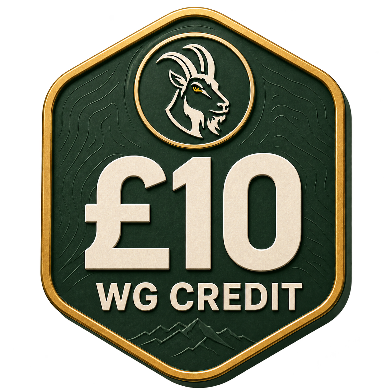 £10 WG Credit